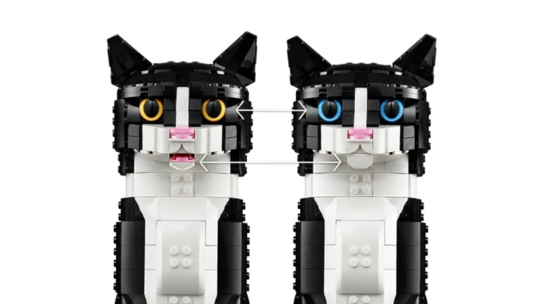 Vous rêvez d’avoir un chat ? LEGO vous propose d’en construire un en briques, l’avantage c’est qu’il ne peut pas faire ses griffes partout