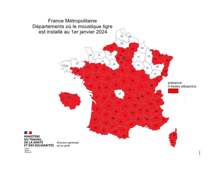 Alors que la France succombe au moustique tigre, un département semble avoir échappé à sa progression vers le Nord