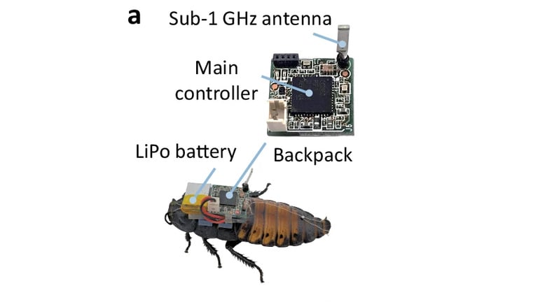 Ces scientifiques développent une folle armée d’insectes robotiques