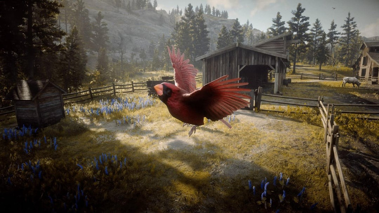 Cardinal du nord Red Dead Redemption 2 : Où trouver cet oiseau pour obtenir sa carcasse ? Cardinal du nord Red Dead Redemption 2 : Où trouver cet oiseau pour obtenir sa carcasse ?