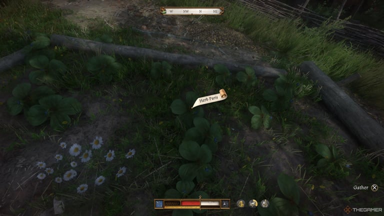 Parisette Kingdom Come 2 : Où trouver cette plante pour confectionner la potion de berceuse ?