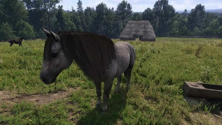 Meilleur cheval Kingdom Come 2 : Lequel choisir pour optimiser vos premiers pas ? Meilleur cheval Kingdom Come 2 : Lequel choisir pour optimiser vos premiers pas ?