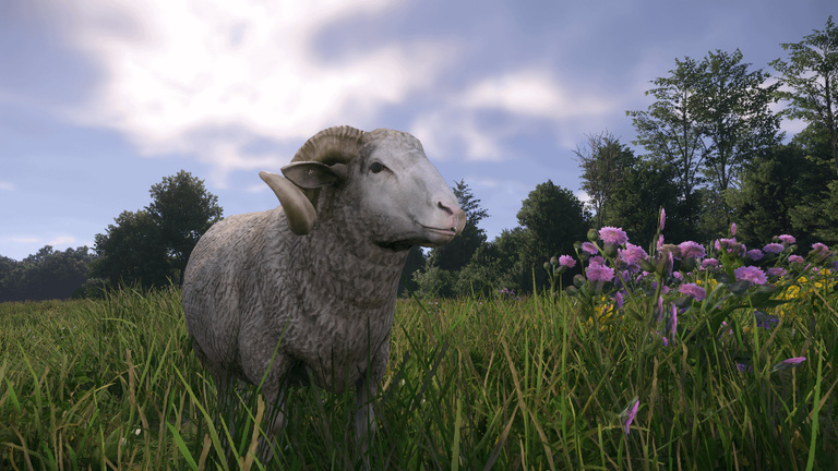 Ignatius Kingdom Come 2 : Où trouver le bélier et comment terminer sa quête ? Ignatius Kingdom Come 2 : Où trouver le bélier et comment terminer sa quête ?