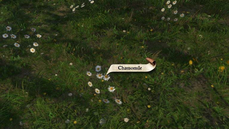 Camomille Kingdom Come 2 : Où et comment trouver cet ingrédient ? Camomille Kingdom Come 2 : Où et comment trouver cet ingrédient ?