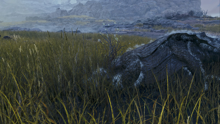 Pousse de wyverne Monster Hunter Wilds : Comment obtenir cet objet spécial ? Pousse de wyverne Monster Hunter Wilds : Comment obtenir cet objet spécial ?