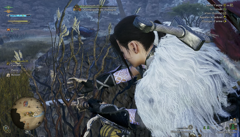 Pousse de wyverne Monster Hunter Wilds : Comment obtenir cet objet spécial ? Pousse de wyverne Monster Hunter Wilds : Comment obtenir cet objet spécial ?