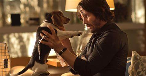 John Wick ne devait pas s'appeler John Wick, mais c'est la faute de Keanu Reeves si la saga a changé de nom John Wick ne devait pas s'appeler John Wick, mais c'est la faute de Keanu Reeves si la saga a changé de nom