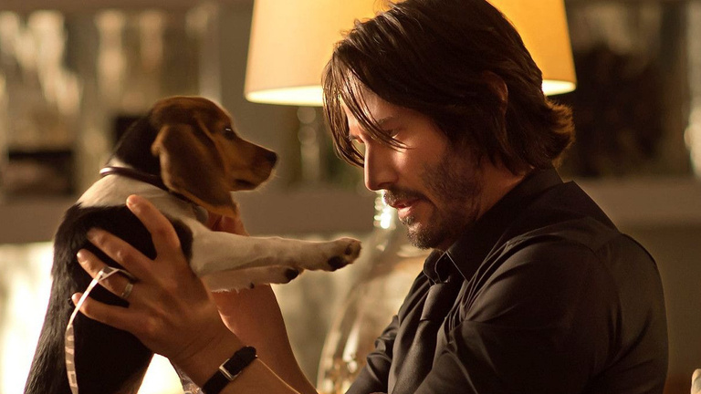 Est-ce que le chien meurt dans le film ? Ayez le bon réflexe pour vos soirées ciné si vous ne voulez pas pleurer !