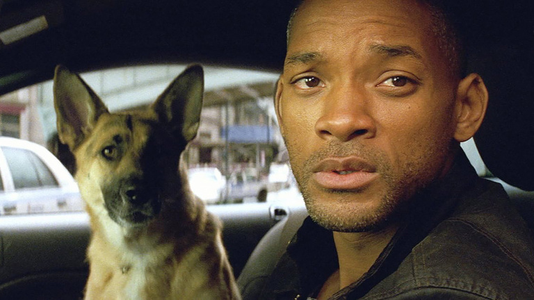Est-ce que le chien meurt dans le film ? Ayez le bon réflexe pour vos soirées ciné si vous ne voulez pas pleurer !