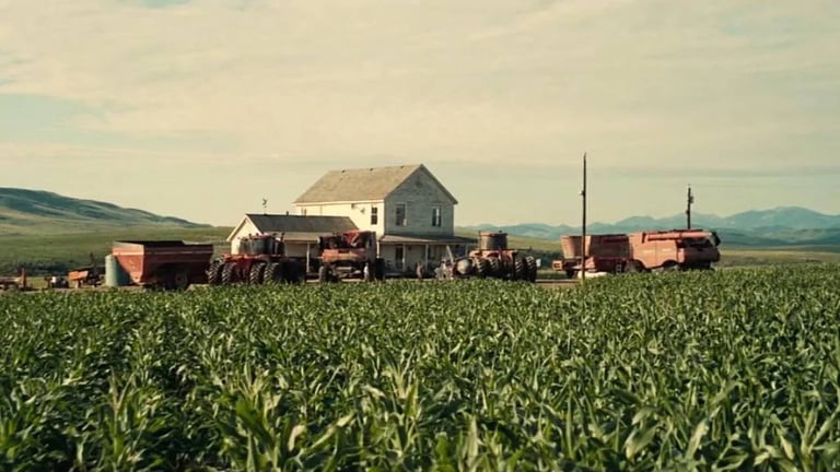 To make Interstellar more realistic, Christopher Nolan planted 2,000 tonnes of corn. You will never guess what he did afterwards! To make Interstellar more realistic, Christopher Nolan planted 2,000 tonnes of corn. You will never guess what he did afterwards!