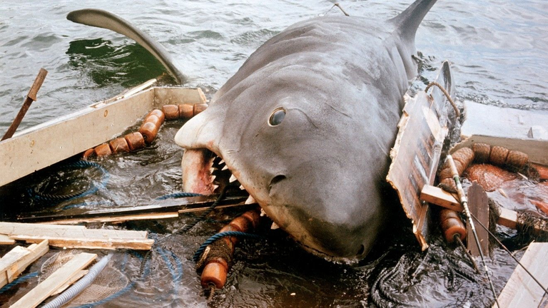 Steven Spielberg : c'est sans doute la déception de sa vie, mais cette expérience lui a beaucoup appris ! Steven Spielberg : c'est sans doute la déception de sa vie, mais cette expérience lui a beaucoup appris !