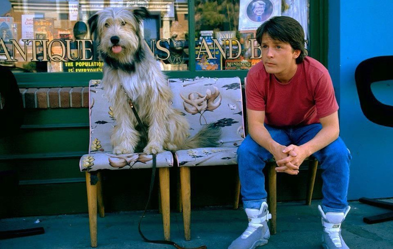 Alors qu'il n'avait que 46 ans, cet acteur iconique des années 90 paraît en avoir 15 de plus dans cette saga de SF ! Alors qu'il n'avait que 46 ans, cet acteur iconique des années 90 paraît en avoir 15 de plus dans cette saga de SF !