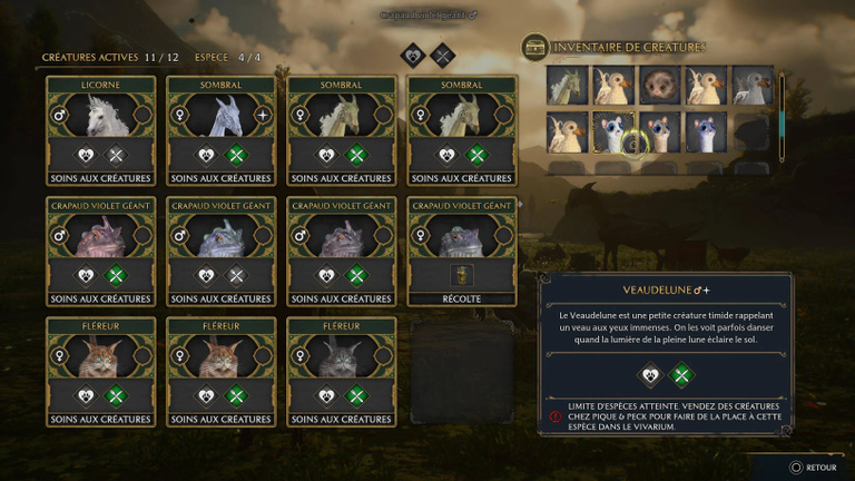 Veaudelune Hogwarts Legacy : comment capturer cet animal fantastique ?