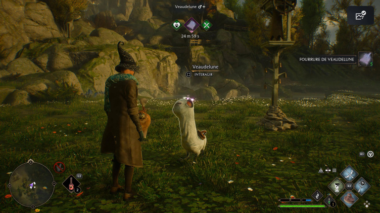 Veaudelune Hogwarts Legacy : comment capturer cet animal fantastique ?