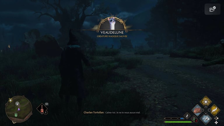 Veaudelune Hogwarts Legacy : comment capturer cet animal fantastique ?