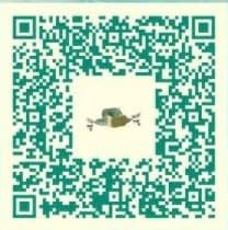 QR codes Zelda Tears of the Kingdom : les meilleures constructions à reproduire en jeu !