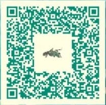 QR codes Zelda Tears of the Kingdom : les meilleures constructions à reproduire en jeu !