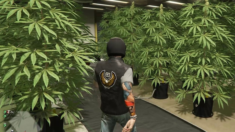GTA Online : La Progen GP1, la Bravado Greenwood et de nombreuses récompenses offertes pour la semaine business du cannabis du 10 juillet