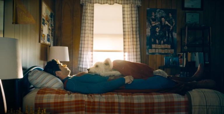 Le film Superman fait adopter des chiens à la chaîne à cause de Krypto, le copain canin du héros DC. Les refuges crient déjà au désastre. Le film Superman fait adopter des chiens à la chaîne à cause de Krypto, le copain canin du héros DC. Les refuges crient déjà au désastre.