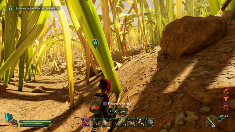 Graines d'herbe Grounded 2 : omni-pelle... Où trouver cette ressource ?