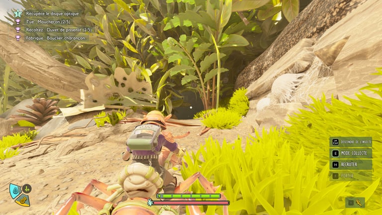 Airelles Grounded 2 : où en trouver et comment les récolter ?