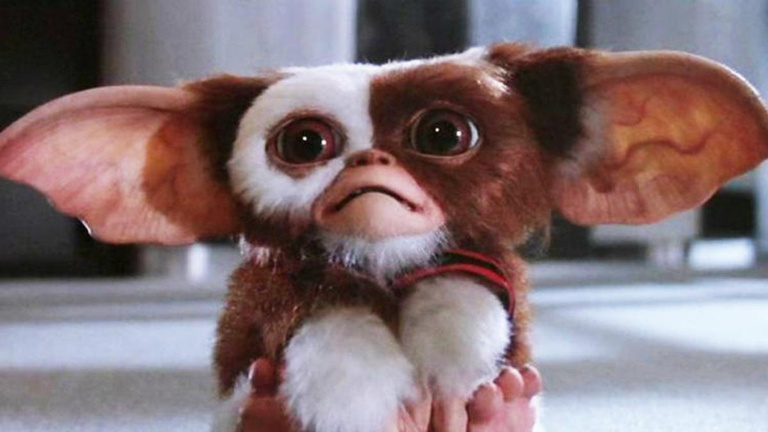"L'accord de Steven Spielberg" Le retour de cette franchise mythique du cinéma fantastique est suspendue à cette décision "L'accord de Steven Spielberg" Le retour de cette franchise mythique du cinéma fantastique est suspendue à cette décision