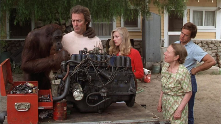 "Le plus décevant" Noté 20%, c'est le pire film de toute la carrière de Clint Eastwood