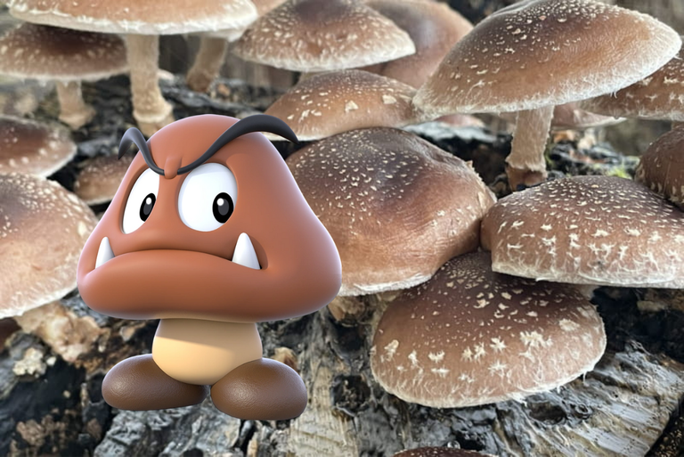 Cet ennemi de Super Mario est inspiré de la vraie vie ! Cet ennemi de Super Mario est inspiré de la vraie vie !