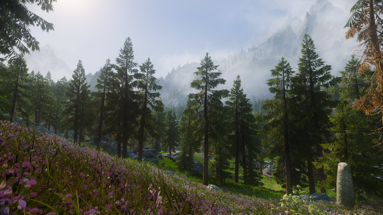 Ce jeu vidéo noté 18/20 n'a jamais été aussi beau ! 