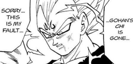 Vegeta ne s'excuse que deux fois dans tout Dragon Ball et seulement auprès d'un seul personnage : ce n'est ni Goku, ni Bulma !