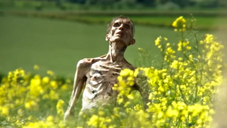 "C'est flatteur..." Cillian Murphy (Oppenheimer) est vexé que vous l'ayez confondu avec ce personnage !