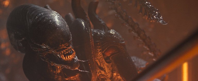 La saga Alien perpétue la tradition.  Malgré le succès de Romulus, son réalisateur tire sa révérence ! La saga Alien perpétue la tradition.  Malgré le succès de Romulus, son réalisateur tire sa révérence !