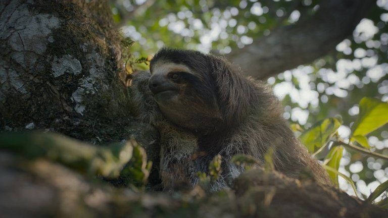 La nature est bien plus effrayante que la fiction : cette série Netflix va vous filer des cauchemars La nature est bien plus effrayante que la fiction : cette série Netflix va vous filer des cauchemars