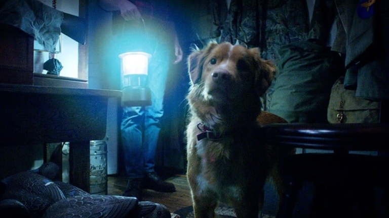 Le film d’horreur dont tout le monde parle ne sera visible que 48h en France !  Le film d’horreur dont tout le monde parle ne sera visible que 48h en France !