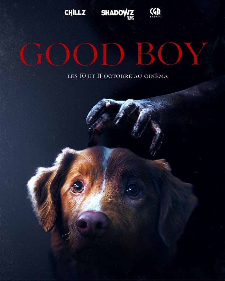 Ce chien va vous terrifier dans ce film d'horreur de 2025 qui sort au cinéma dans quelques jours, mais il y a un hic !