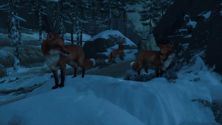 Terriers de renards Ghost of Yotei : où tous les trouver ? Terriers de renards Ghost of Yotei : où tous les trouver ?