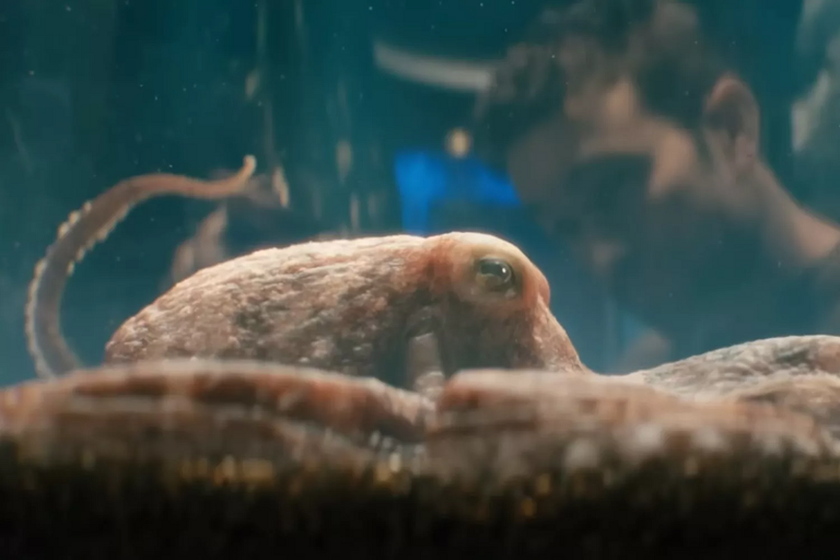 C’est l’une des scènes les plus gênantes de The Boys et les créateurs de la série en ont fait… un jouet pour adultes C’est l’une des scènes les plus gênantes de The Boys et les créateurs de la série en ont fait… un jouet pour adultes