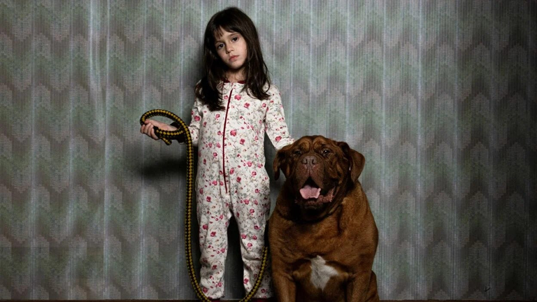 Je n'ai rien vu de plus terrifiant ces dernières années, vous pouvez voir ce film gratuitement ! Je n'ai rien vu de plus terrifiant ces dernières années, vous pouvez voir ce film gratuitement !