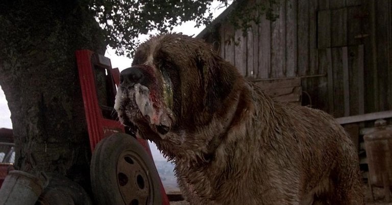 “Des messages haineux” Il y a 42 ans, les créateurs de ce film inspiré d’un livre de Stephen King ont changé sa fin : l’auteur ne les remerciera jamais assez “Des messages haineux” Il y a 42 ans, les créateurs de ce film inspiré d’un livre de Stephen King ont changé sa fin : l’auteur ne les remerciera jamais assez