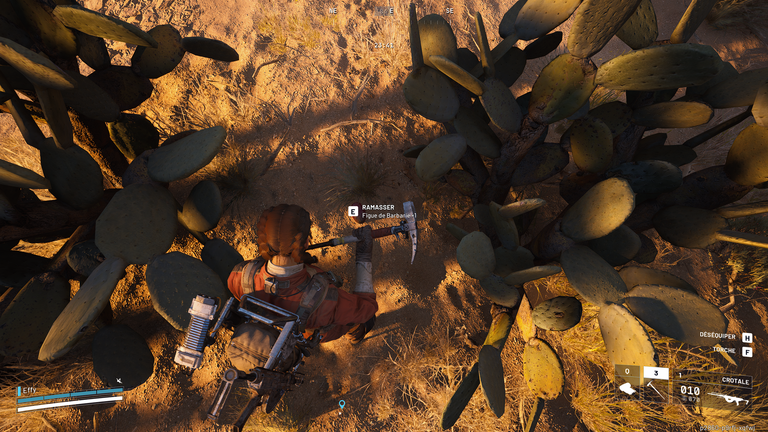 Figue de barbarie ARC Raiders : où trouver cette ressource naturelle pour Coquillard, votre coq ? 