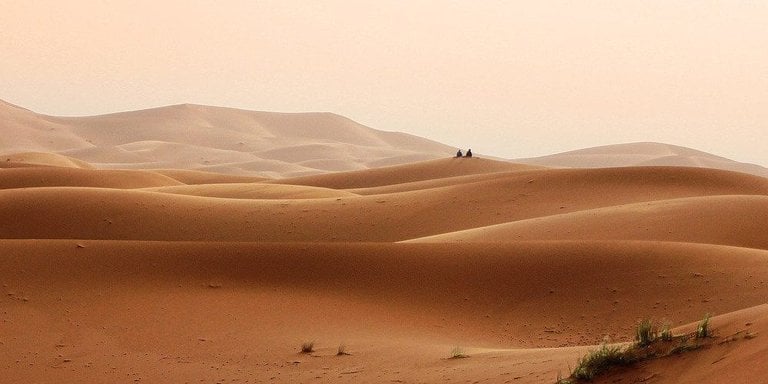 "Mon cerveau ne fonctionnait plus" Robert Pattinson sera bel et bien dans Dune 3 : mais à quel prix ? "Mon cerveau ne fonctionnait plus" Robert Pattinson sera bel et bien dans Dune 3 : mais à quel prix ?