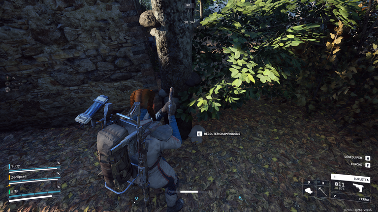 Champignons ARC Raiders : où trouver cette ressource naturelle pour Coquillard, votre coq ? 