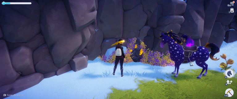 Pyrite Disney Dreamlight Valley : Où trouver cette ressource et à quoi sert-elle ?