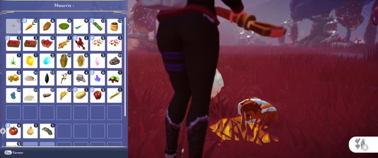 Mouffettes Disney Dreamlight Valley DLC : comment approcher et nourrir ces compagnons ?