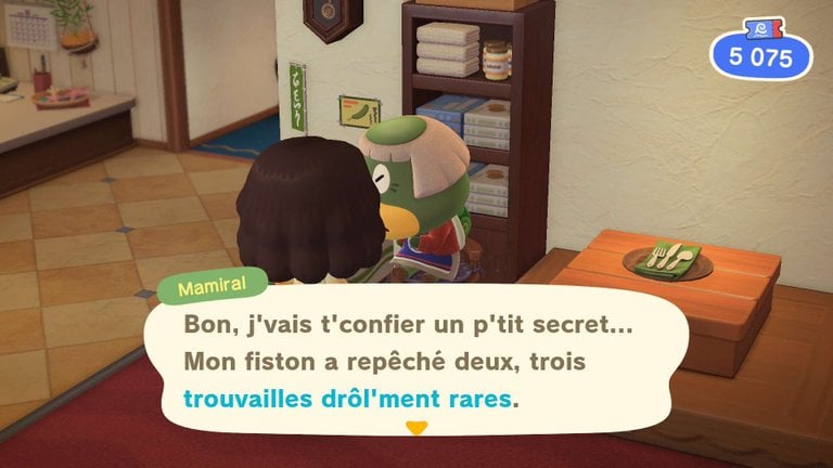 La boutique de souvenirs cache un grand secret dans Animal Crossing : New Horizons... On vous explique comment acheter les consoles de jeux