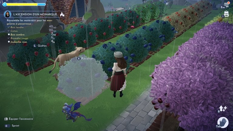 Porridge au blé et aux fruits Disney Dreamlight Valley : comment préparer cette recette trois étoiles ?