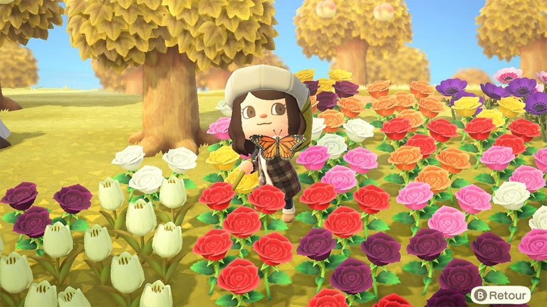 Insectes février Animal Crossing New Horizons : la liste complète