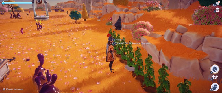 Porcini farcis aux choux de Bruxelles Dreamlight Valley : comment préparer cette recette 3 étoiles ?