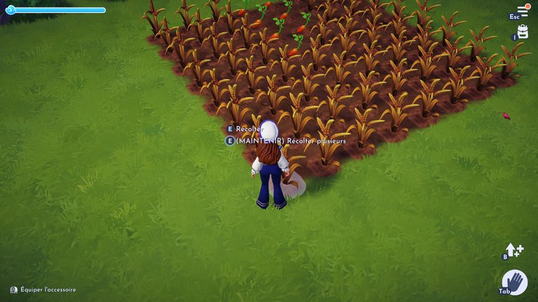 Pâtes au poisson Disney Dreamlight Valley : comment préparer cette recette quatre étoiles ? Pâtes au poisson Disney Dreamlight Valley : comment préparer cette recette quatre étoiles ?