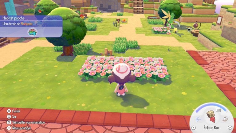 Humidité Pokopia : comment augmenter son taux pour la satisfaction de vos Pokémons ? 